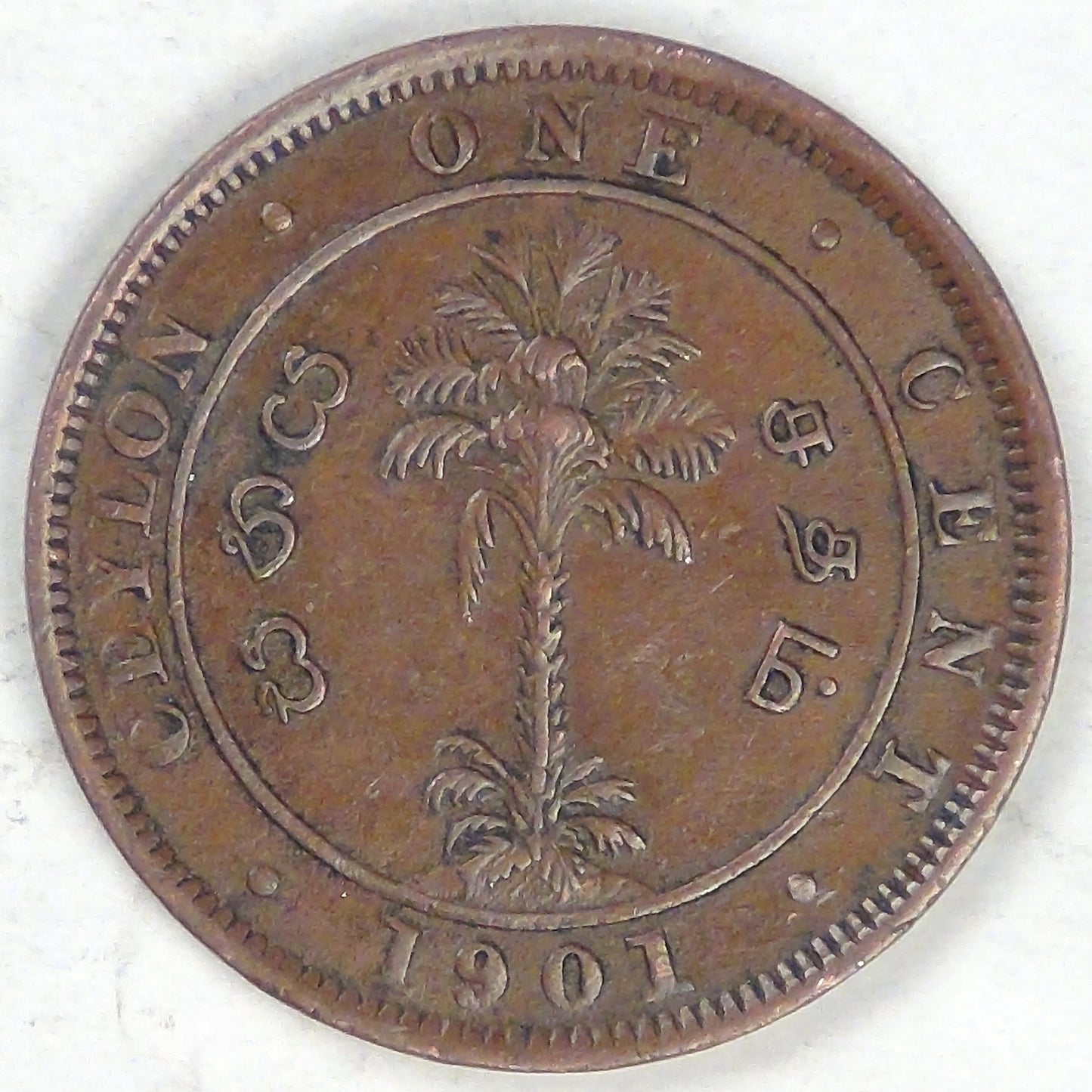 CEYLON - British Colony, Victoria, 1901 Cent, Choice Very Fine