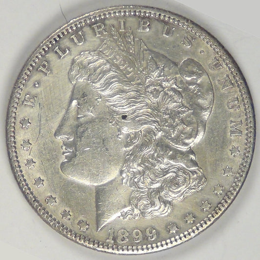 1899-S Morgan Dollar, MS details